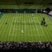 Wimbledon 2025 Begins: Full Schedule, Broadcast Info, Top Seeds, and What to Watch For